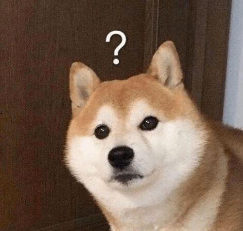赤犬巴哥爆料了吗视频播放,揭秘幕后真相
