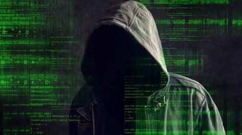黑客爆料最新网站,黑客曝光最新网站内幕，揭秘网络黑幕与安全风险