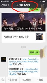 猫之城最新爆料吧百度云,揭秘神秘猫界秘境，百度云独家放送
