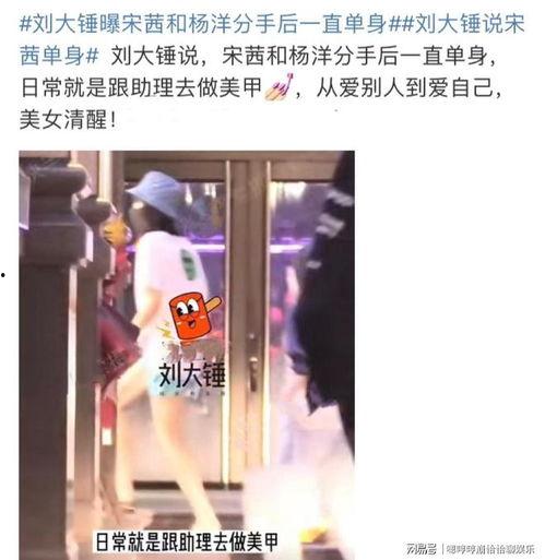 刘大锤最新爆料宋茜,宋茜神秘事件真相揭晓
