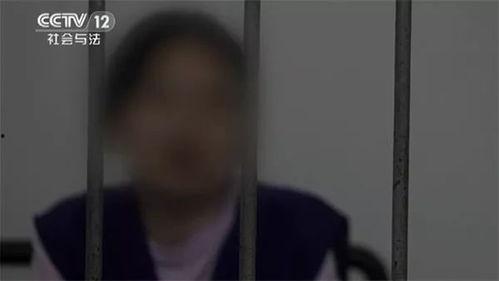 陆河新闻爆料事件始末视频,真相追踪与舆论发酵全记录
