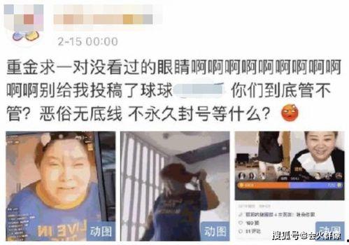 郭师傅邻居爆料视频播放,揭秘事件背后惊人真相