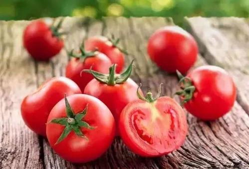 中国西红柿爆料最新消息,价格波动与种植趋势揭秘