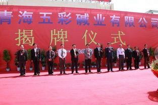 三友化工最新爆料,揭秘企业变革与发展新动向