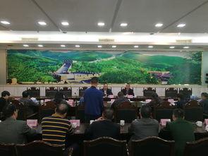 遂溪县新闻爆料网站,聚焦民生，传递一线声音