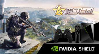 荒野行动春节爆料视频,全新玩法与福利大放送