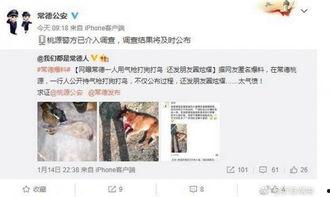 网友爆料的新闻有吗,最新热点事件深度解析