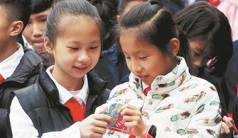 泉州爆料男孩事件最新,真相揭开，社会关注与反思