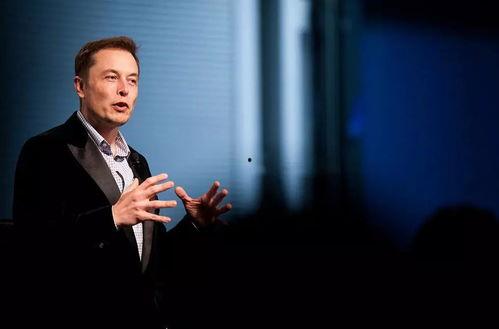 马斯克家保姆爆料视频,揭秘亿万富翁家庭的真实生活