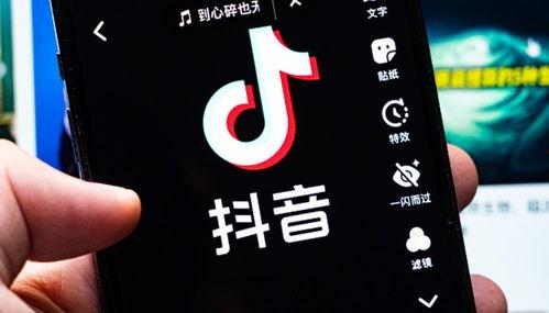 抖音爆料案件最新进展视频,揭秘真相，追踪进展！”