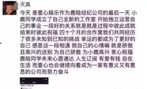 娱乐圈吃瓜ppt事件,揭秘幕后真相与影响