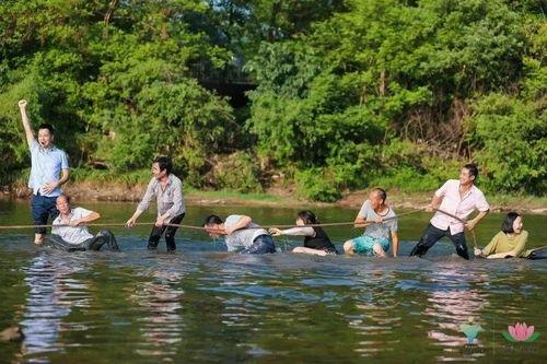 摸鱼吃瓜娱乐,瓜田乐享生活瞬间